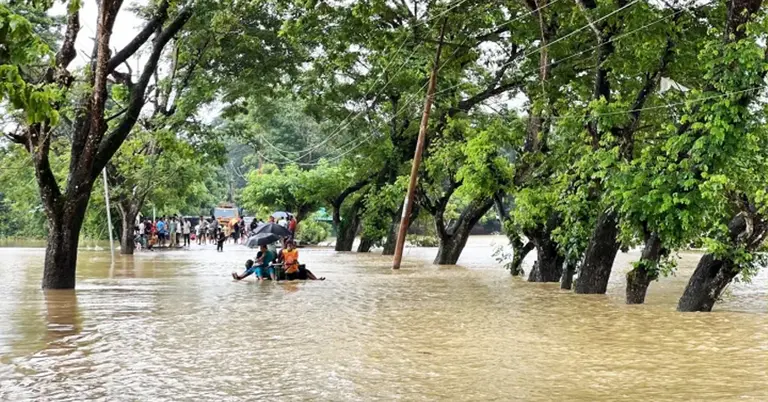 বন্যার ছবি